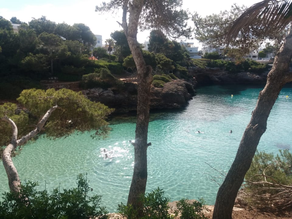 Ausblick AluaSoul Mallorca Resort