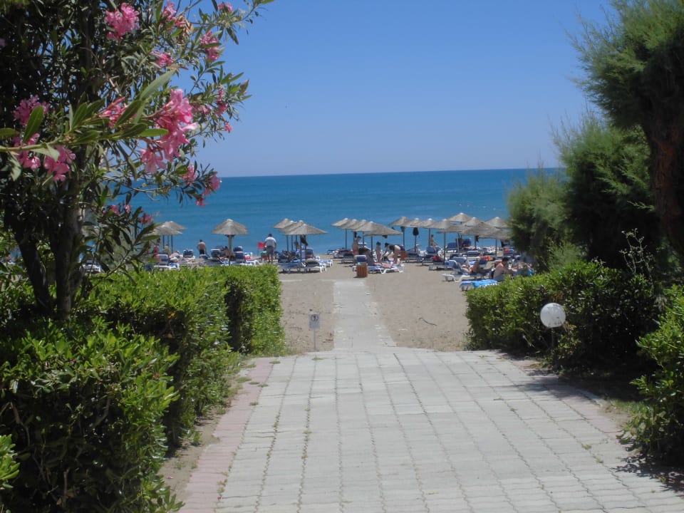 Strand Hotel Calypso Beach