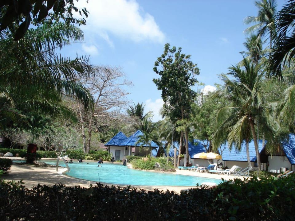 Pool Hotel Coral Island Resort