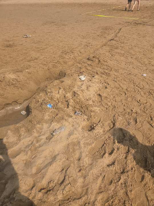 Strand Hotel Orfeus Park