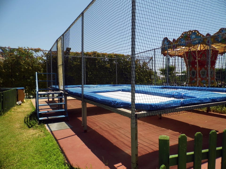 Super Selectum Family Comfort Side