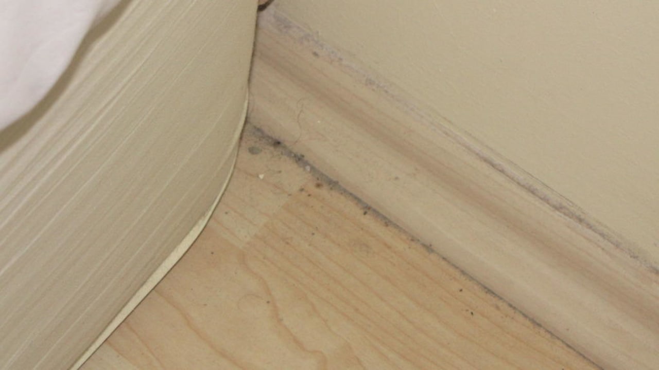 Bitte nicht in die Ecken sehen! Polat Thermal Hotel