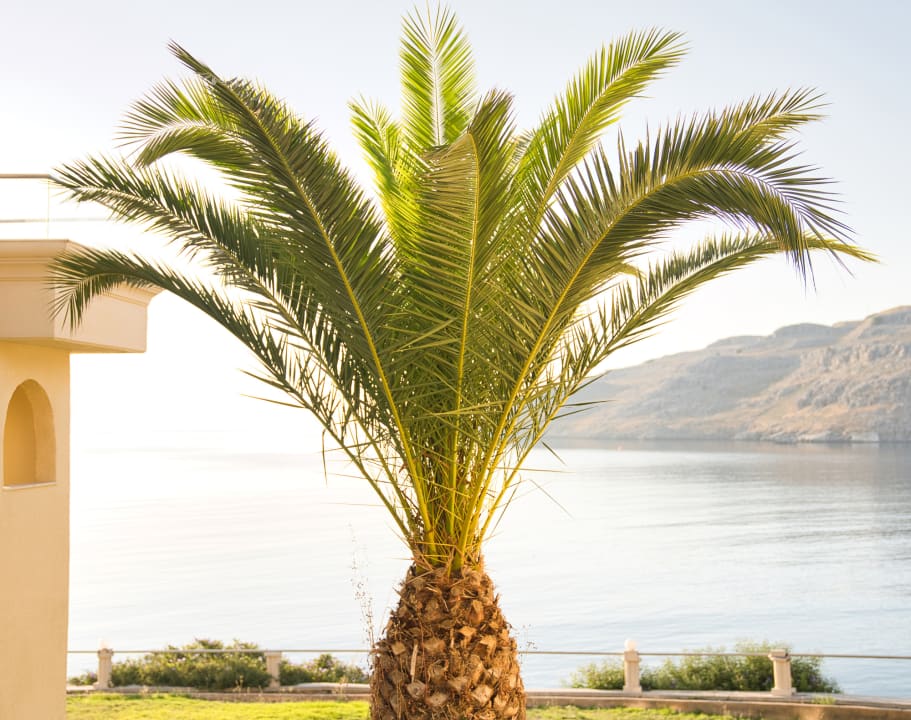 Ausblick Lindos Royal Resort