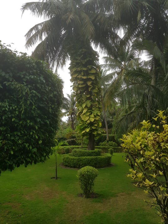 Gartenanlage Adaaran Select Meedhupparu Island Resort - Premium All Inclusive