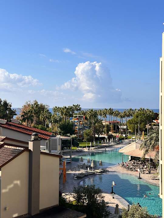 Ausblick Arum Barut Collection