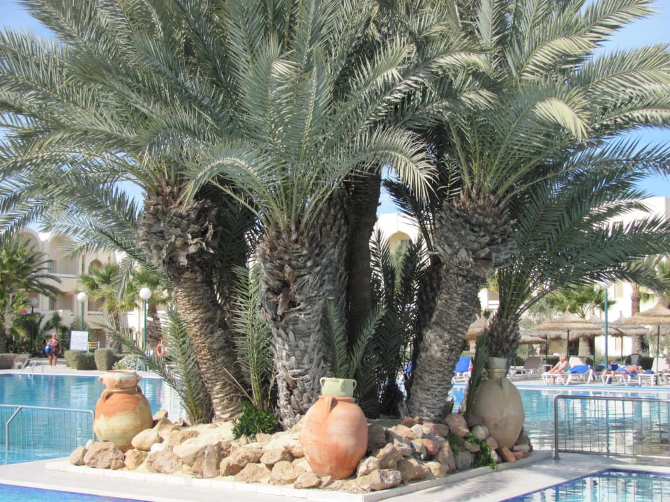 Eine Insel im Pool Iberostar Waves Mehari Djerba