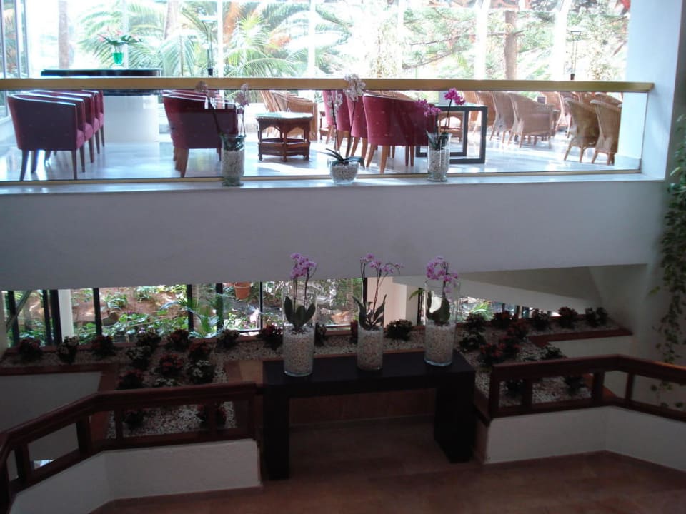 L'hôtel H10 Las Palmeras H10 Las Palmeras