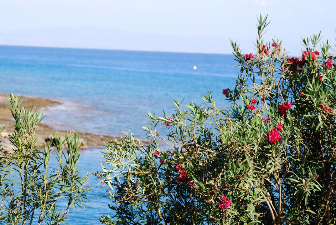 Strand Crystal Springs Beach Hotel