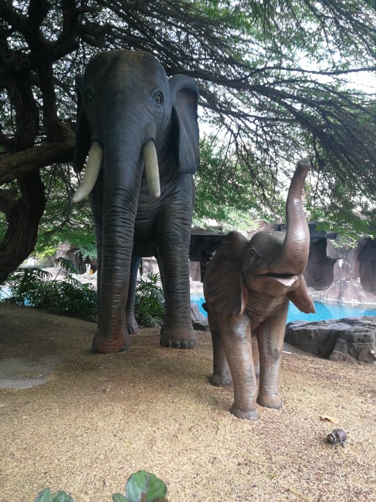 Gartenanlage Lopesan Baobab Resort