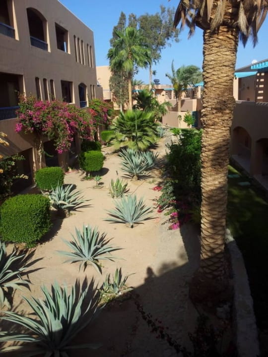 Sehr schön Club Paradisio El Gouna, Red Sea
