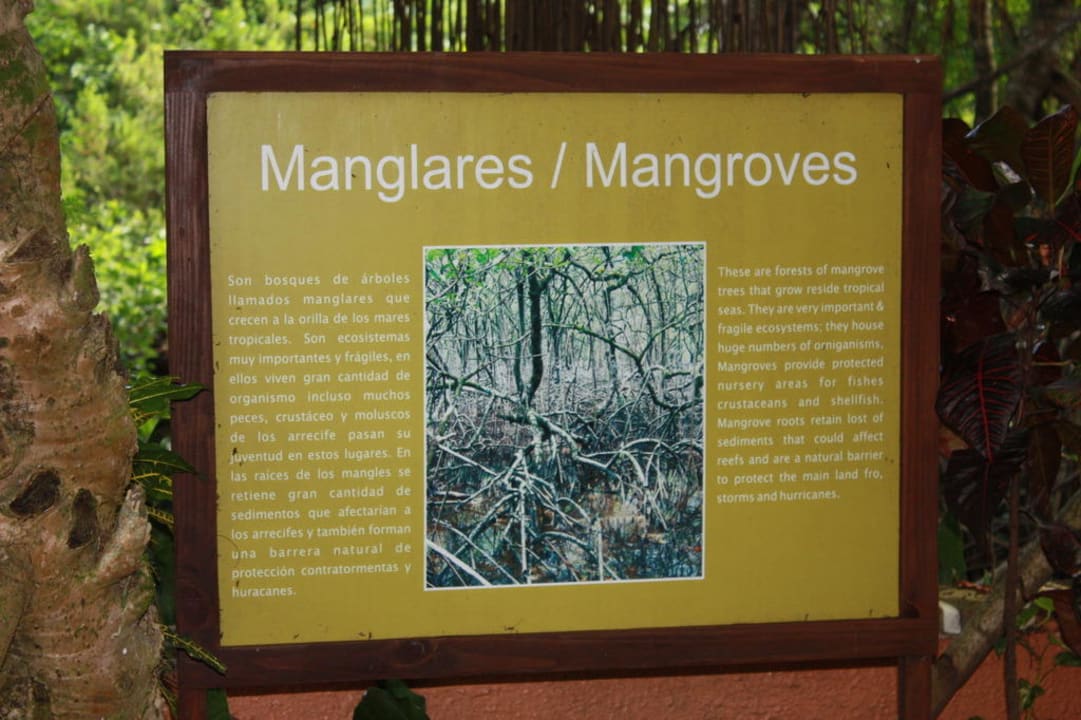 Mangroven Sunscape Puerto Plata