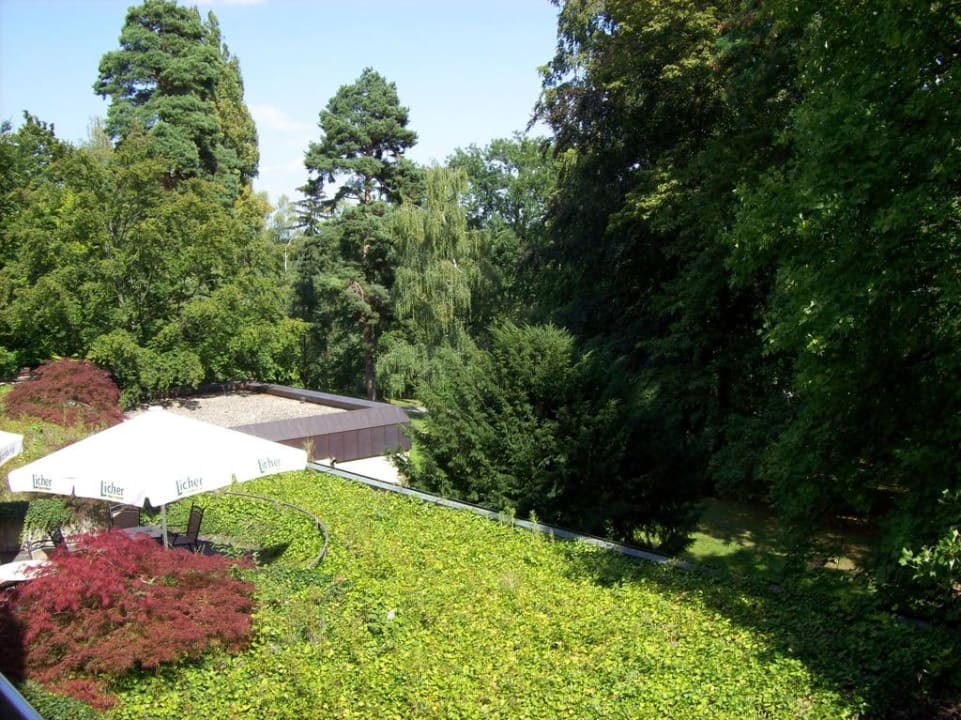 Blick vom Balkon in den Park Dolce by Wyndham Bad Nauheim