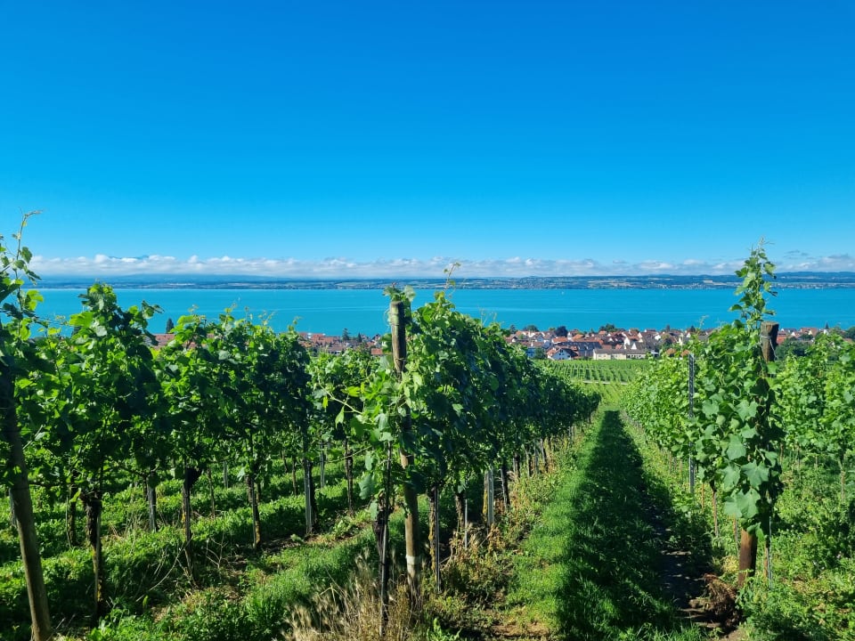 Ausblick Ferienhof Berger UG