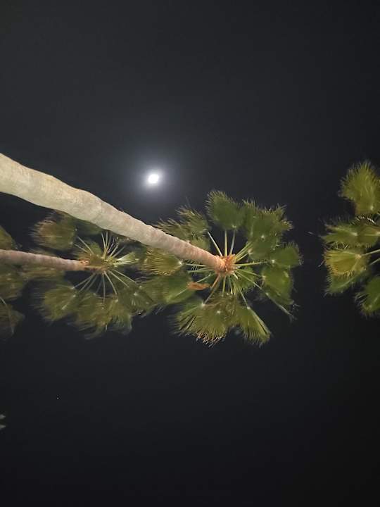 Außenansicht Nerton Hotel - Erwachsenenhotel ab 16 Jahren