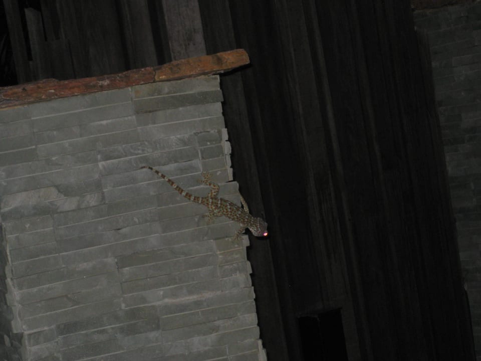 Unser Besucher Panviman Resort Koh Phangan