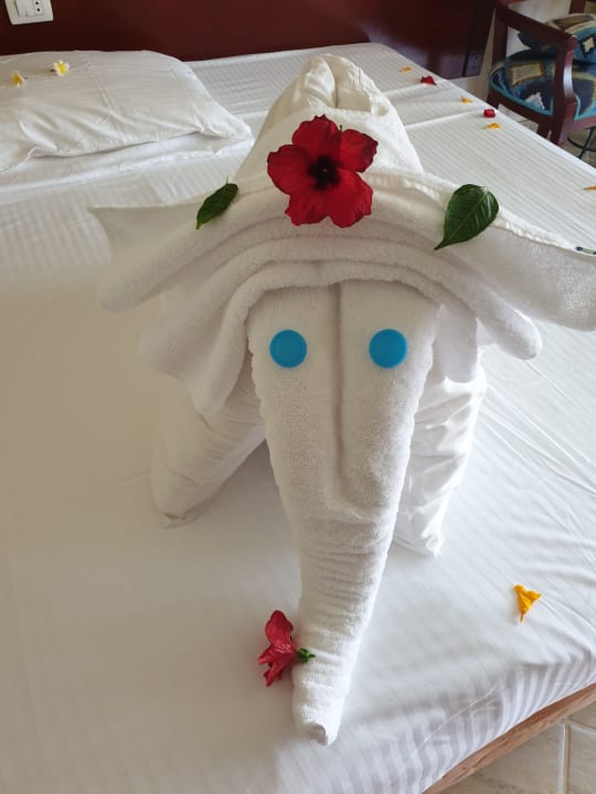 Zimmer Malikia Resort Abu Dabbab