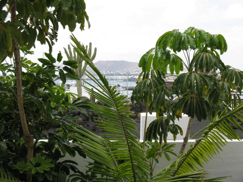 Blick vom Balkon Hotel LIVVO Volcan Lanzarote