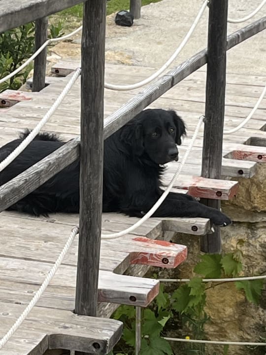 Außenansicht Is Perdas Rural Retreat & Spa