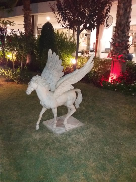 Gartenanlage Dream World Aqua Hotel