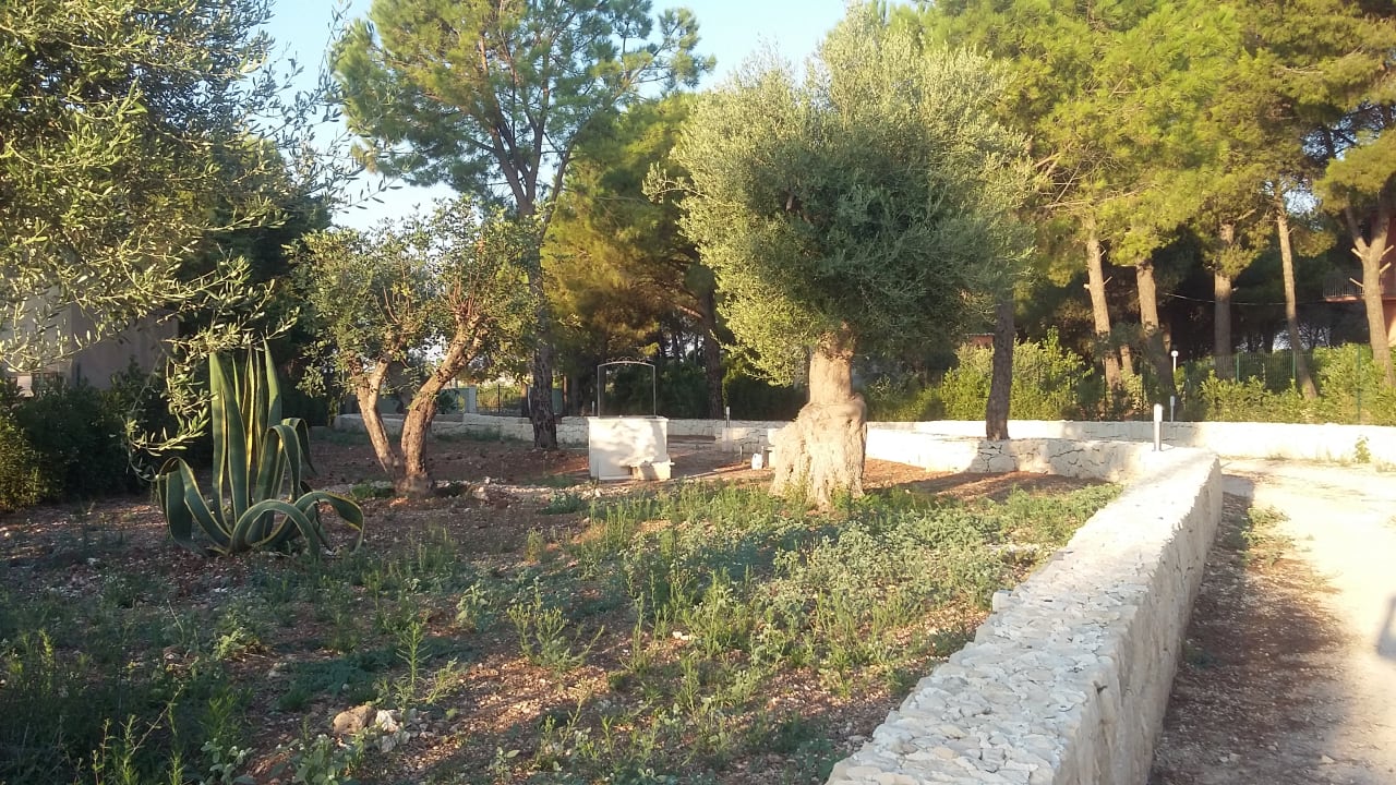 "Gartenanlage" Avola Antica Lodge & Pool (Avola) • HolidayCheck (Sizilien Italien)