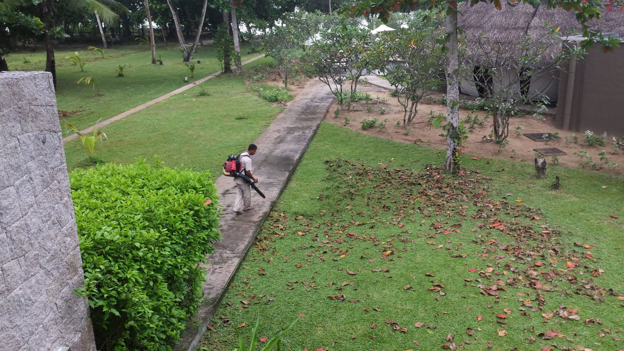 Mittagsruhe an 3 Tagen gestört Constance Ephelia