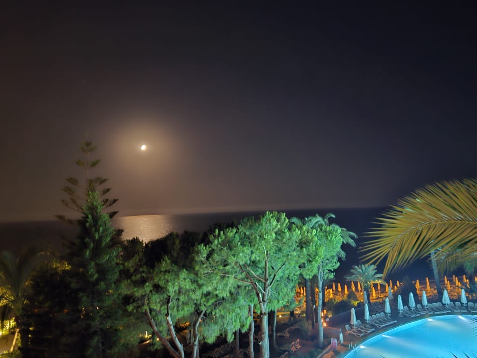 Zimmer PALOMA Perissia