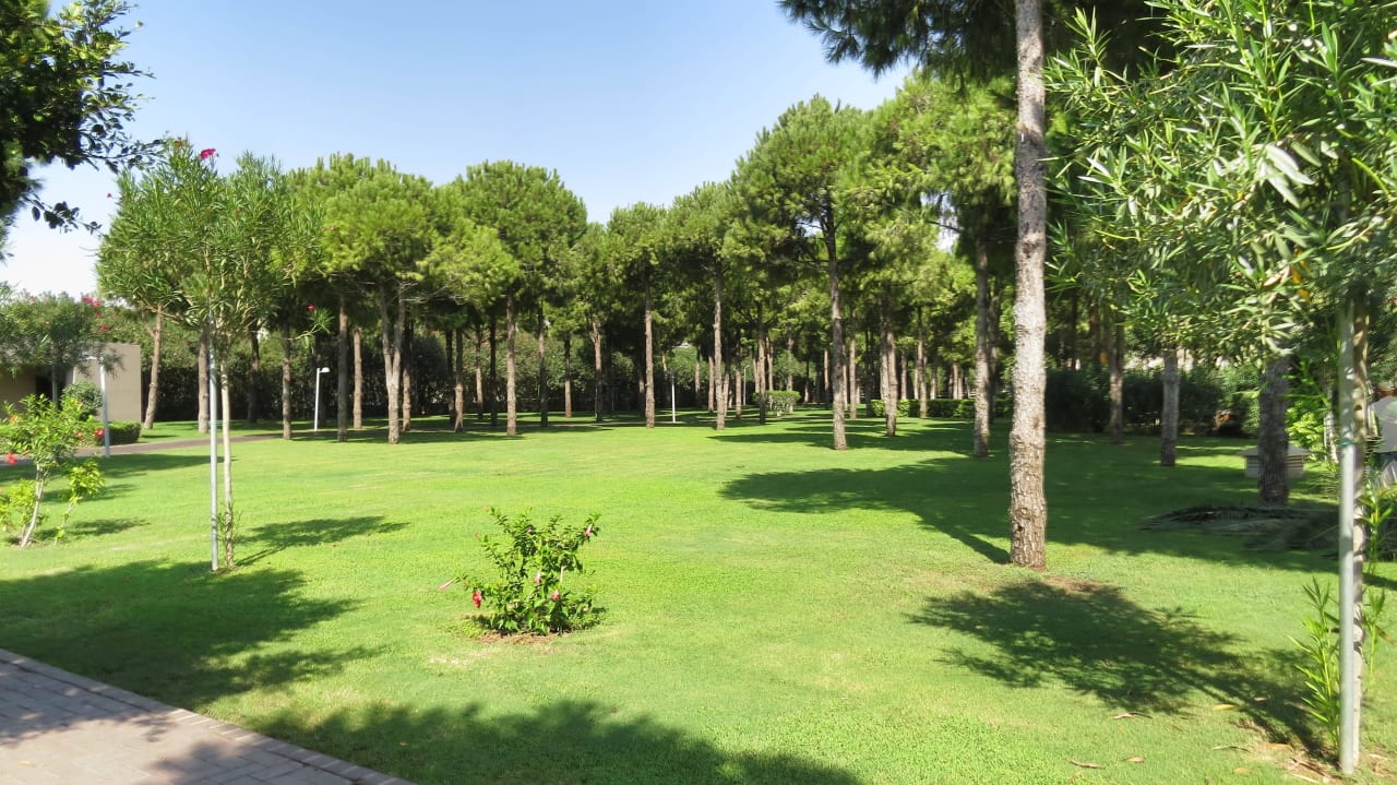 Baumbestand Gloria Serenity Resort