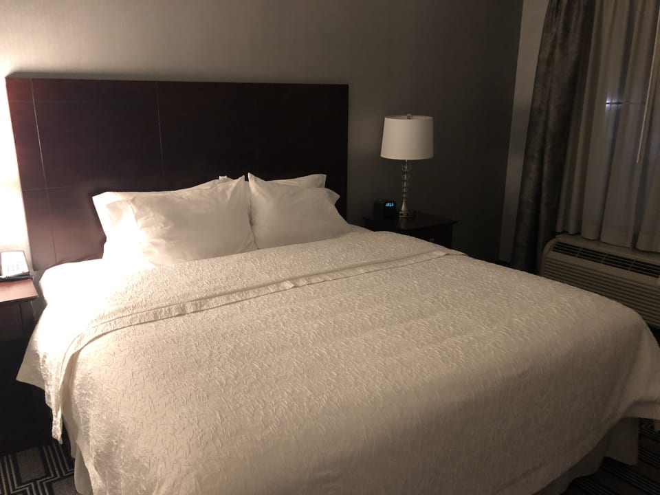 Zimmer Hotel Hampton Inn & Suites Providence Downtown