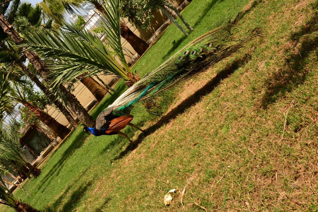 Sonstiges Seaden Sea World Resort & Spa