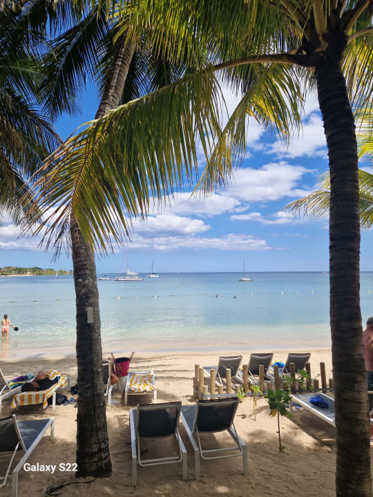 Strand The Ravenala Attitude