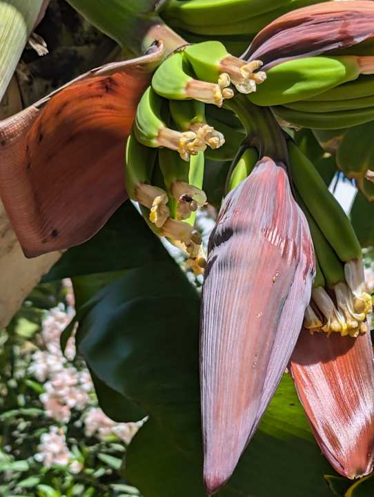 Sport & Freizeit Marina Playa Suite Hotel