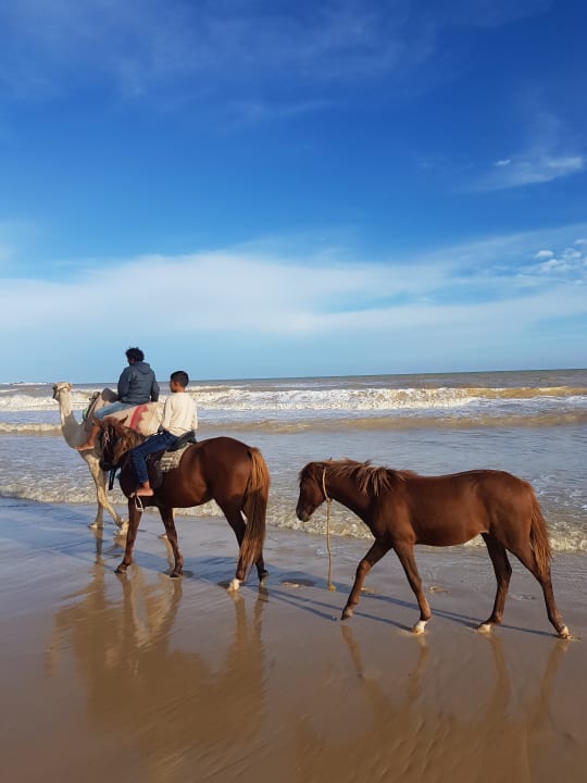 Strand Hotel Nesrine