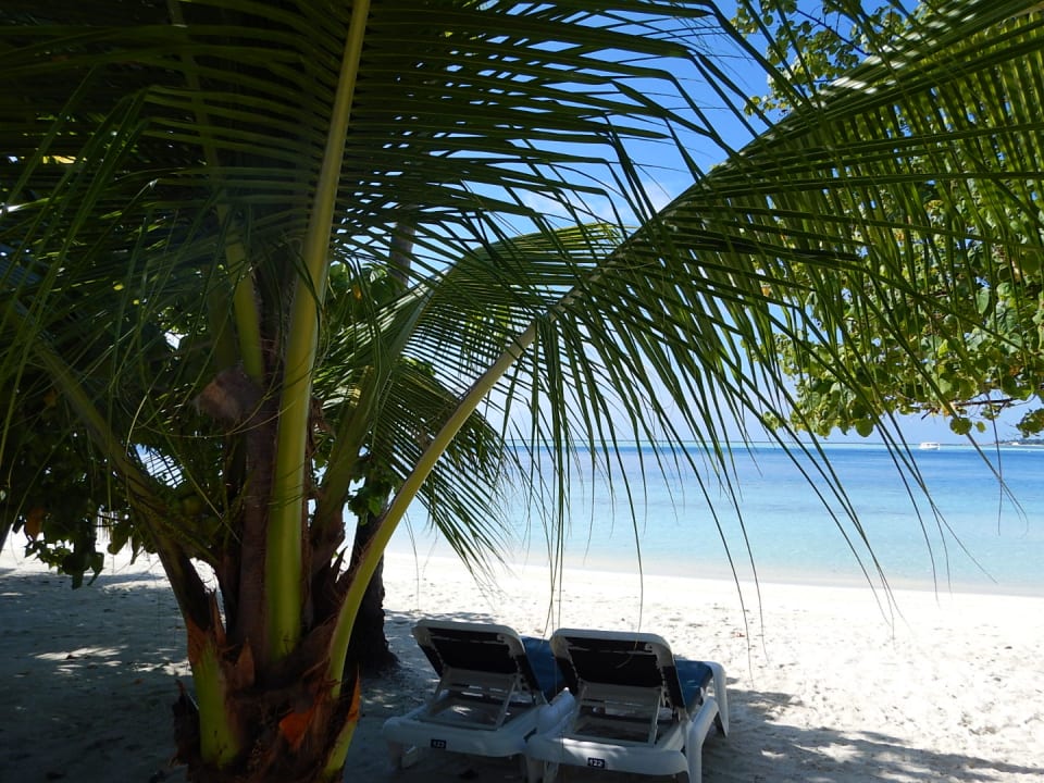 Strand Vilamendhoo Island Resort & Spa