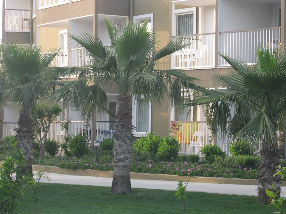 Корпус Marvida Family Eco