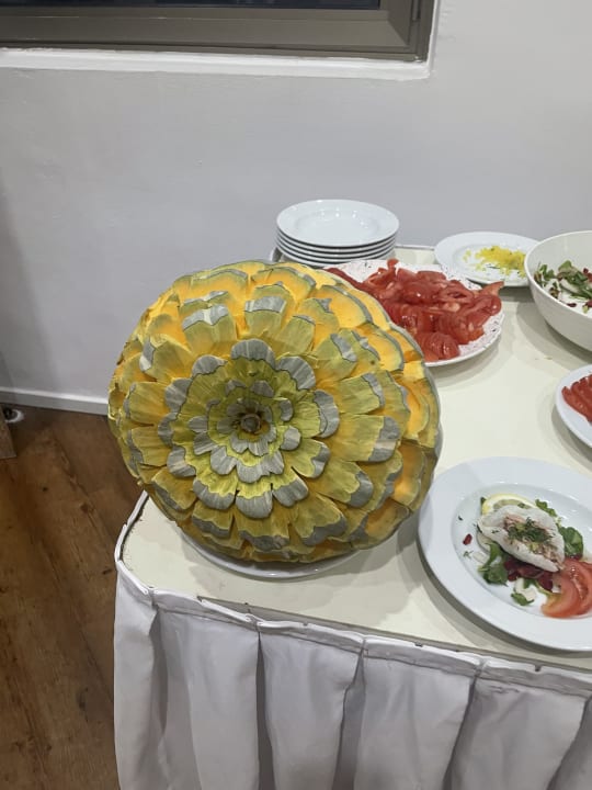 Gastro Asteria Collection Side