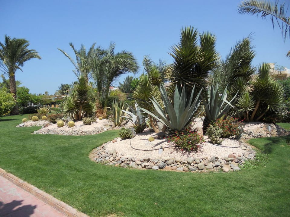 Nochmal die tolle Aussenanlage Golden Beach Resort