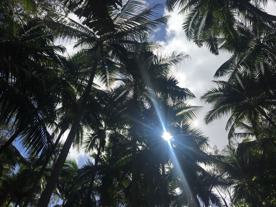 Hotel Le Meridien Ile Maurice Le Meridien Ile Maurice