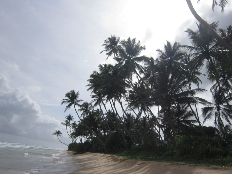 Ein Strandspaziergang lohnt sich! The Long Beach Resort
