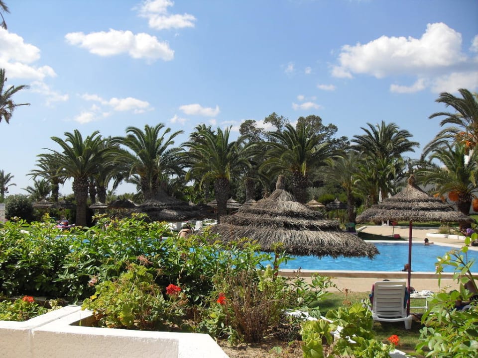 Mit Garten und Palmen TUI BLUE Palm Beach Hammamet