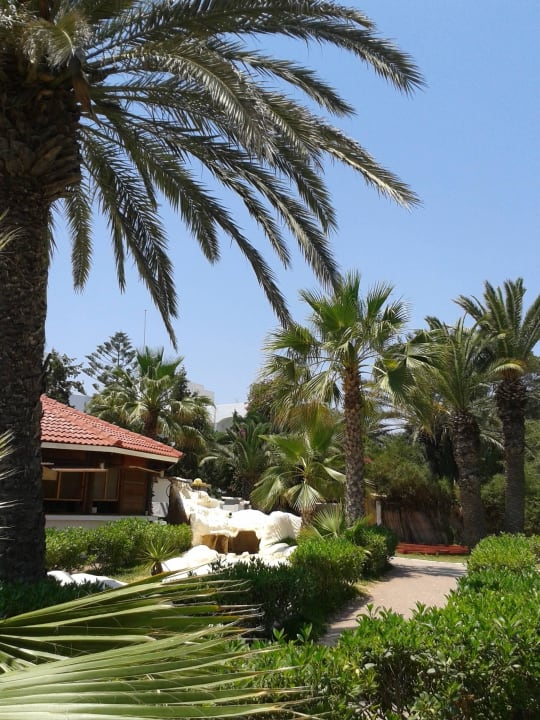 Außenanlage in Strandnähe Hotel Nesrine