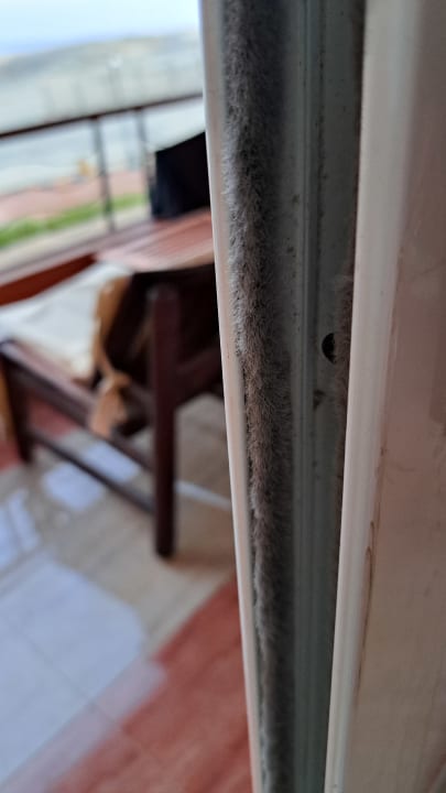 Zimmer Malikia Resort Abu Dabbab