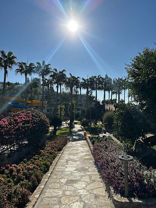 Gartenanlage Arum Barut Collection