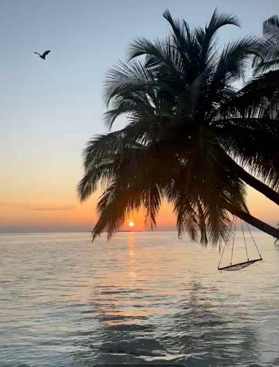 Außenansicht Vilamendhoo Island Resort & Spa