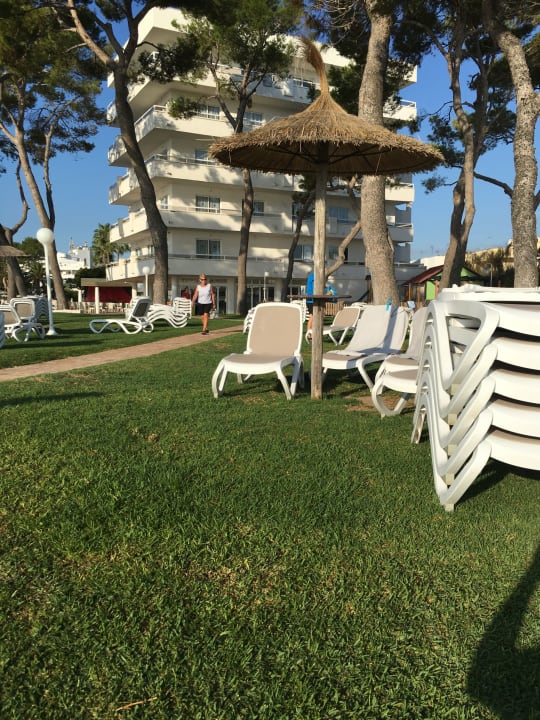 Gartenanlage Grupotel Los Principes & Spa