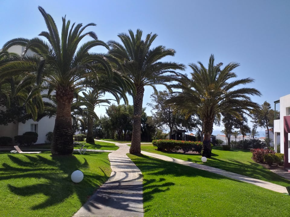 Garten allsun App.-Hotel Esquinzo Beach