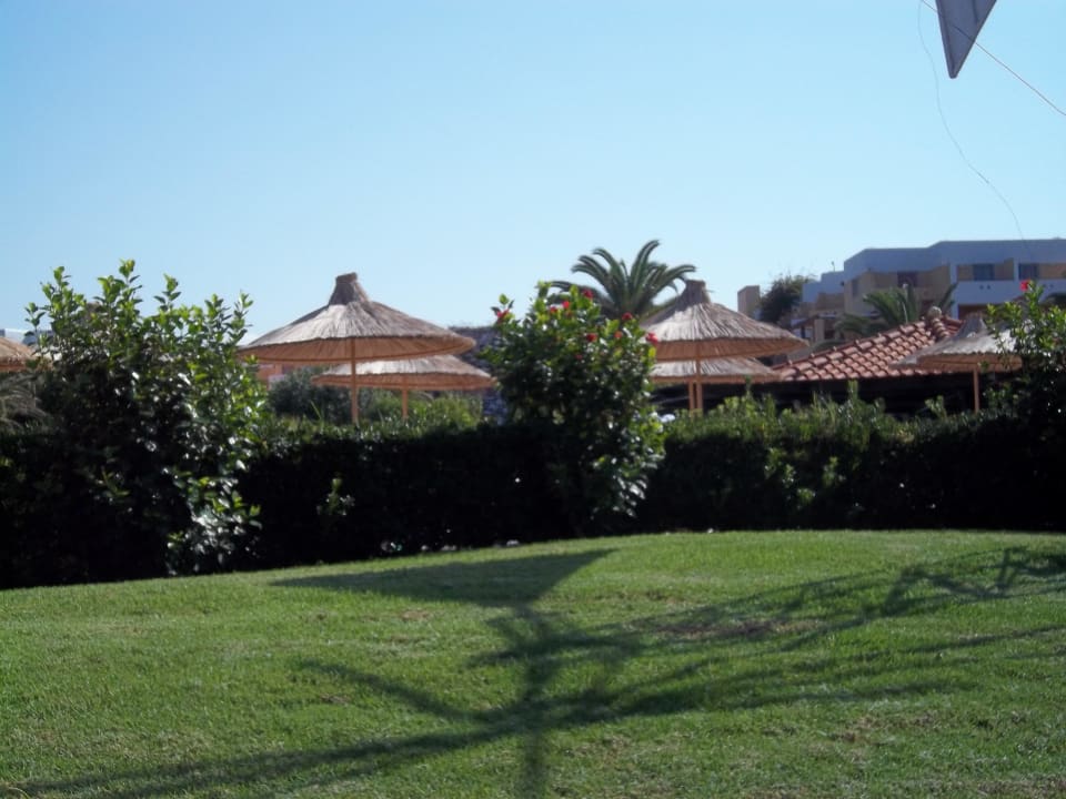 Pool im Hintergrund Anissa Beach & Village