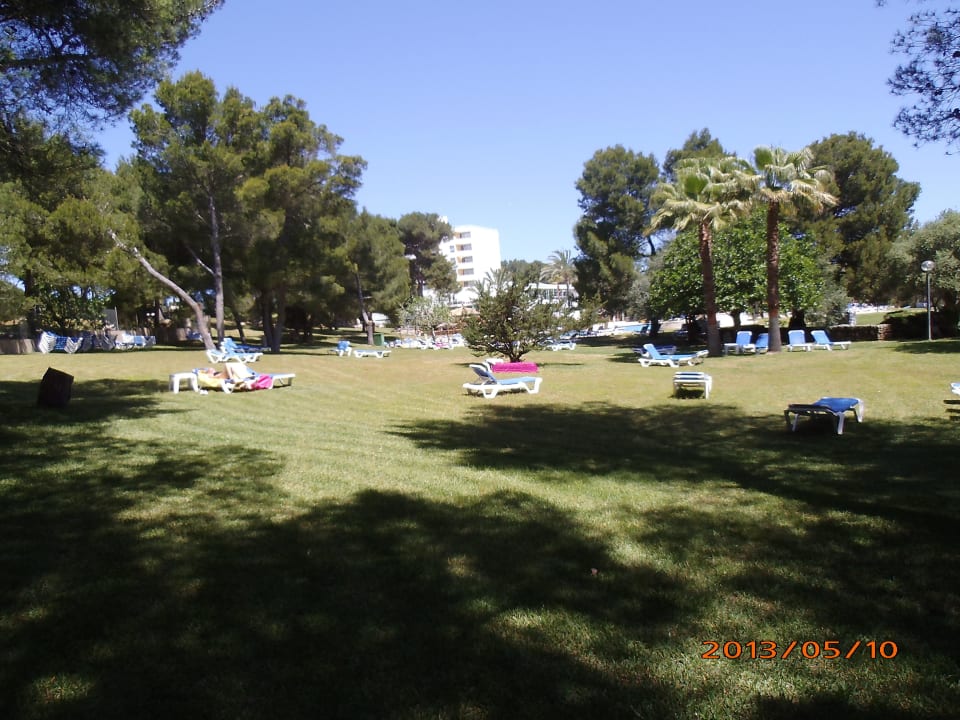 Gartenanlage mit Pool Hotel Exagon Park