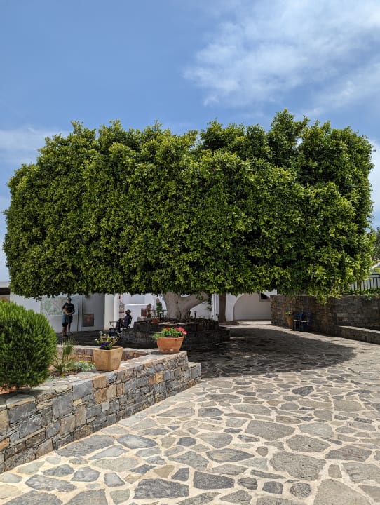 Außenansicht Creta Maris Resort