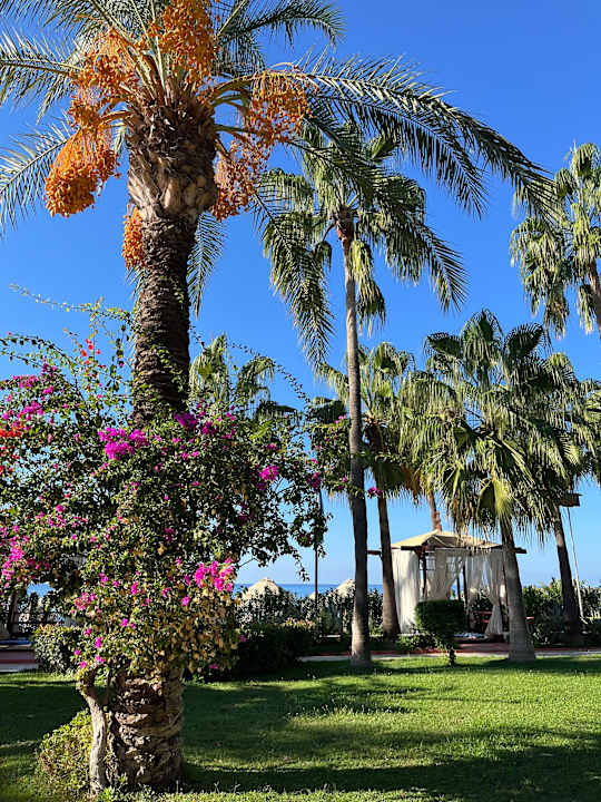 Strand Saphir Resort & Spa