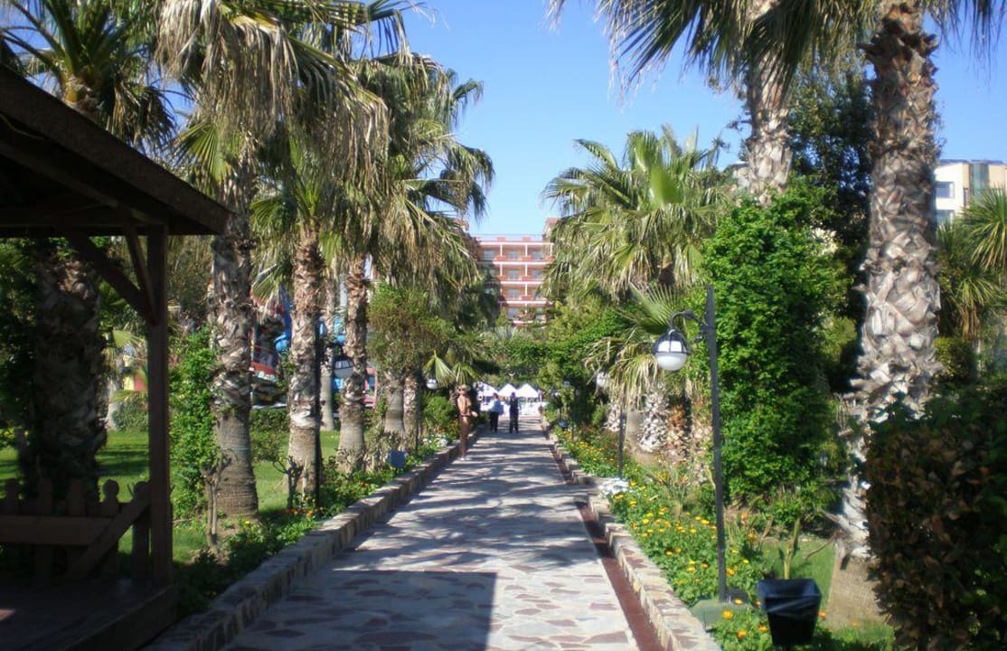 Alejka prowadząca na plażę Holiday Park Resort